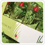Linea bio 1